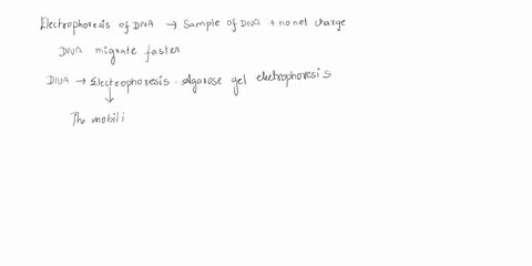 in-electrophoresis-of-dna-which-will-move-farther-through-the-gel-assuming-there-is-no-difference-in-their-net-charge-large-or-small-segments-of-dna-69253