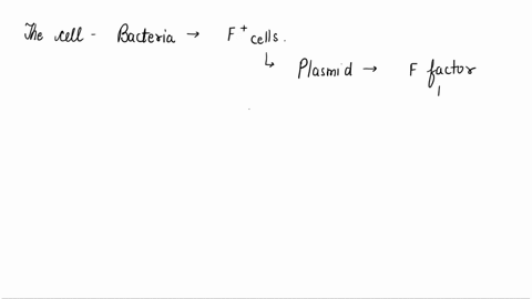 distinguish-between-f-and-f-bacteria-what-is-the-difference-between-f-and-hfr-bacteria-73604