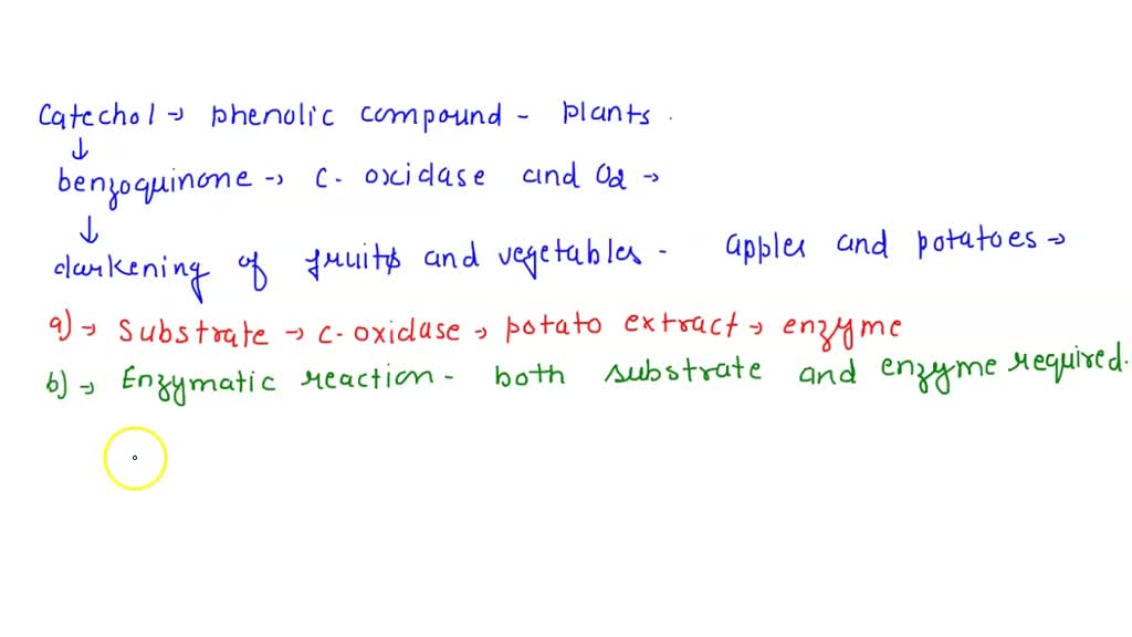 SOLVED: For Exercise [ Action of Catechol Oxidase (page 4), the ...