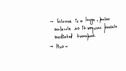 which-of-these-molecules-would-require-protein-mediated-transport-to-cross-the-plasma-membrane-select-all-that-apply-diffuse-through-a-lipid-bilayer-protein-mediated-transport-which-of-the-following-g