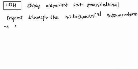 i-need-it-in-words-and-not-a-drawing-please-dbased-on-the-observed-localization-of-ldh-in-erythrocytes-and-peroxidase-in-onion-cells-in-this-labdescribe-the-complete-protein-importtransport-83035