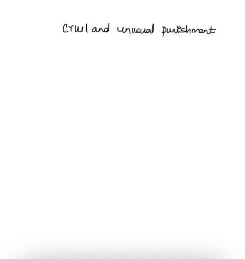 true-or-falsein-terms-of-constitutional-law-cruel-and-unusual-punishment-is-clearly-defined-98697