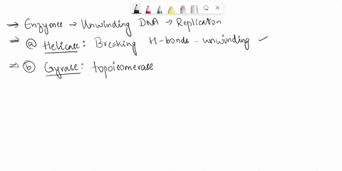 4-which-of-the-following-enzymes-do-aid-in-unwinding-of-dna-for-replication-select-one-or-more-ahelicase-bgyrase-cprimase-dsynthetase-esingle-stranded-binding-proteins-ftransferase-42858