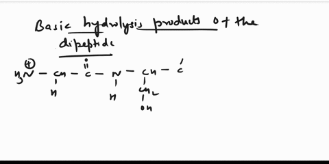 draw-the-basic-hydrolysis-products-of-the-following-dipeptide-43015