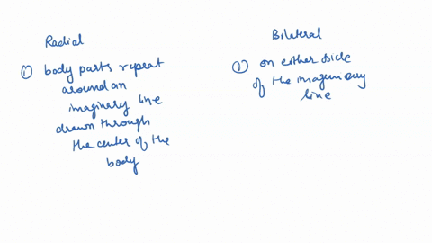 give-some-similarities-and-difference-between-radial-and-bilateral-symmetry-animals-45788