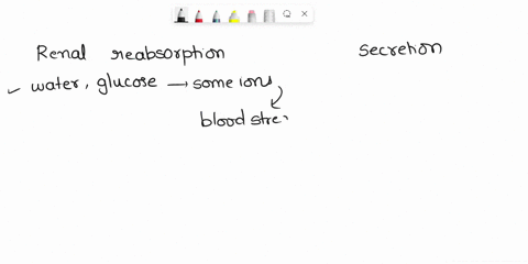drag-each-statement-to-the-term-it-describes-reset-help-substances-that-undergo-this-process-are-excreted-substances-that-undergo-this-process-are-returned-to-the-blood-stream-metabolic-wast-81455