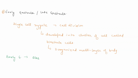 describe-the-differences-between-the-early-gastrula-and-the-late-gastrula-starfish-are-deuterostomes-thus-the-vegetal-pole-blastopore-will-become-35909