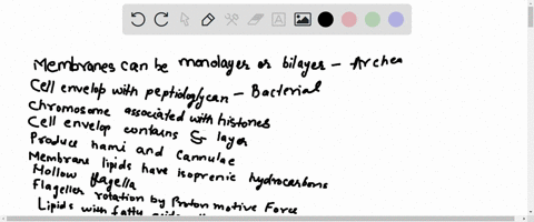 drag-the-descriptions-to-their-corresponding-domain-in-order-to-test-your-knowledge-of-the-differences-between-archaeal-and-bacterial-characteristics-archaea-membranes-can-be-monolayers-or-b-41617