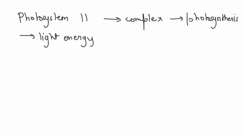 question-10-05-pts-photosystem-ii-takes-electrons-from-water-and-passes-them-to-the-atp-synthase_-takes-electrons-from-water-energizes-them-and-passes-them-on-to-an-electron-transport-chain-49445