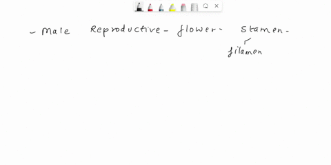 what-is-the-male-and-female-reproductive-parts-of-a-flower-30883