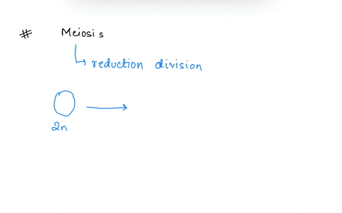 which-of-the-following-statements-about-the-products-of-a-single-cell-that-has-gone-through-meiosis-is-true1the-result-is-two-daughter-cells2the-daughter-cells-are-haploid3the-daughter-cells-77819