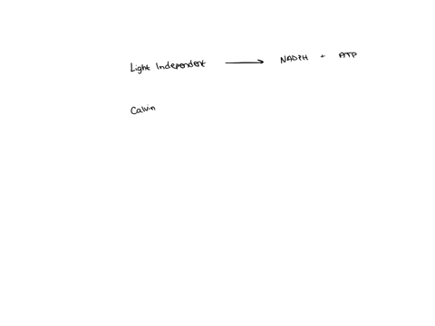 what-are-the-roles-of-atp-and-nadph-in-photosynthesis-a-atp-and-nadph-are-forms-of-chemical-energy-p-01517