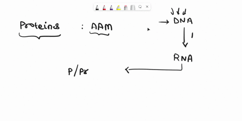 question-1-3-pts-which-of-the-following-statements-about-enzymes-are-untrue-select-all-that-apply-the-shape-of-an-enzyme-very-important-in-its-function-they-are-reusable-they-are-catalysts-p-84236