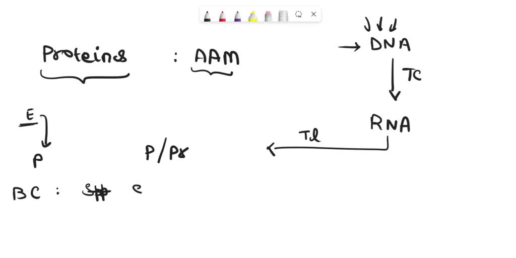 SOLVED Question 15 (2 points) Which statement is not true? 1) Enzymes