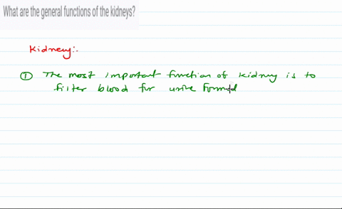 what-are-the-general-functions-of-the-kidneys-61083