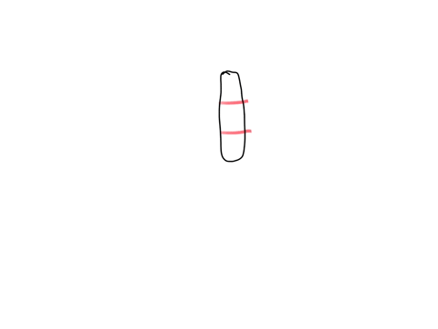 the-superior-portion-of-the-sternum-is-the-1-body-2-xiphoid-process-3-gladiolus-4-manubrium