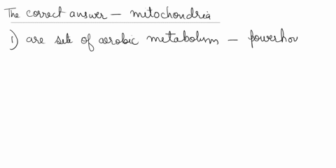 kat-select-all-statements-that-accurately-describe-the-structures-or-functions-of-mitochondria-mitochondria-regulate-apoptosis-mitochondria-ar-the-sites-of-acrobic-metabolism-mitochondria-ha-17666