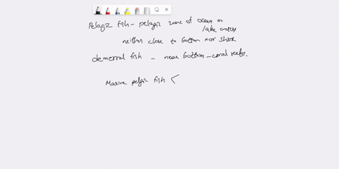 in-recognition-of-the-drag-forces-on-the-special-tuna-explain-why-we-do-not-see-open-ocean-pelagic-cruising-fish-in-these-body-forms_-8-explain-the-difference-between-body-caudal-fin-bcf-and-72077