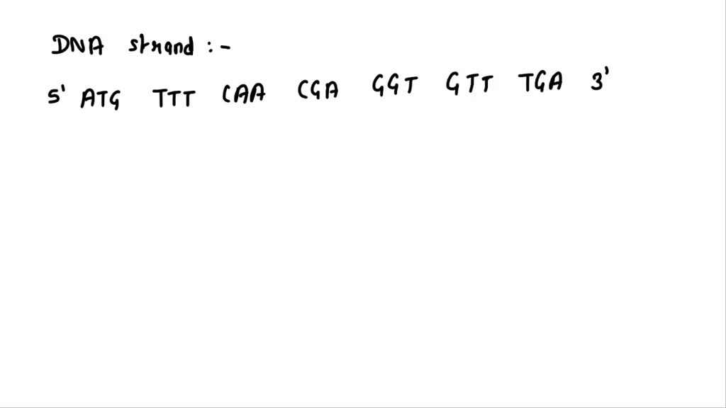 Solved: Dna Sense Strand: 5' Atg Ttt Caa Cga Ggt Gtt Tga 3' Dna Anti 