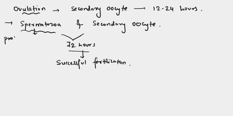 select-the-correct-statement-about-fertilization_-viable-for-about-72-hours-in-the-female-a-both-spermatozoa-and-the-ovulated-secondary-oocyte-remain-reproductive-tract-millions-of-sperm-cel-24654