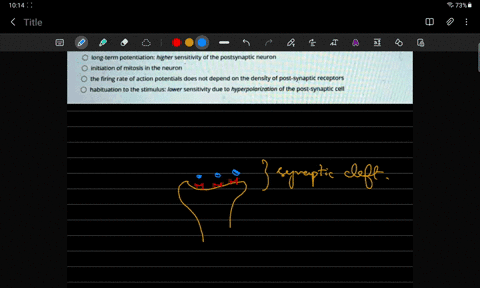 an-decrease-in-the-number-of-activated-reccptors-in-thc-postsynaptic-membrare-has-what-effect-on-signal-transduction-higher-sersitivity-due-t0-depolarization-of-the-post-synaptic-cell-long-t-92342