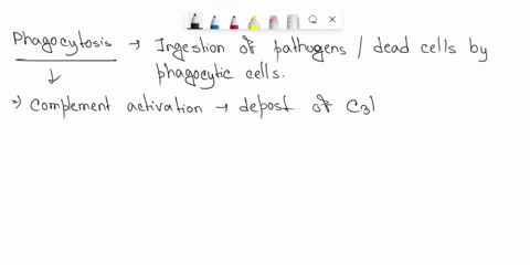 list-the-steps-of-phagocytosis-in-the-correct-order-1-c3b-receptors-of-the-phagocyte-recognises-and-binds-to-c3b-bound-to-the-bacteria-2-digestion-occurs-in-the-phagolysosome-3-exocytosis-of-29842