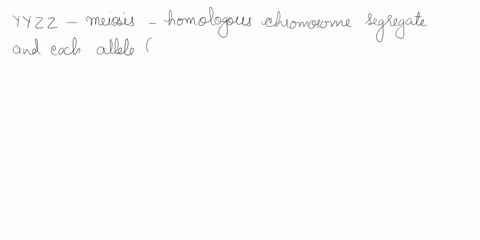 ell-wlth-genctpe-yyzz-is-galng-hrough-mhoals-hat-lll-be-the-gencype-tthe-caugnter-cells-numiele-chok-yyzz-none-and-yyzz-n-h-ther-tyin-cna-and-zzir-the-othzr-1yz-z-in-bath-yz-in-ale-8rd-z-ahe-12467