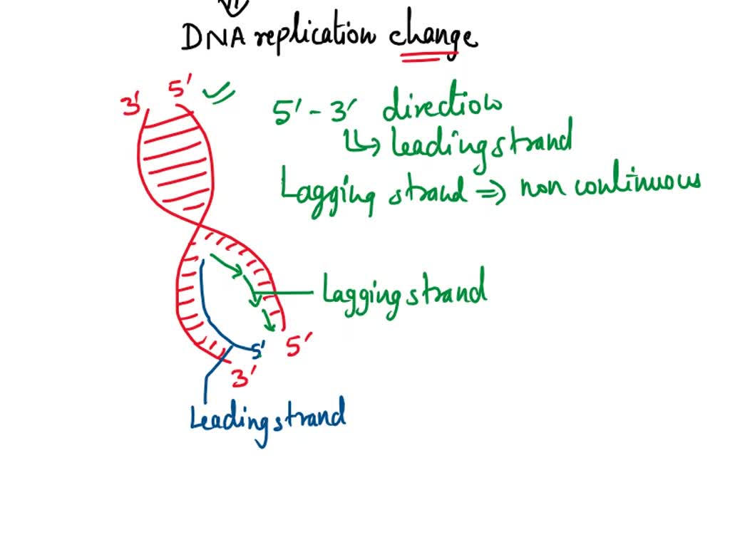 SOLVED: You have discovered new type of DNA polymerase (You have named ...