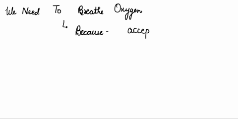 question-16-2-pts-what-statement-best-explains-why-glucose-transported-across-the-apical-membrane-in-intestinal-epithelial-cells-is-classified-a5-indirect-active-transport-glucosc-is-storcd-16882