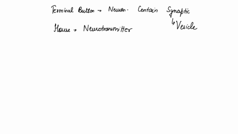 the-________-of-a-neuron-contain-________-that-house-neurotransmitters-the-chemical-messengers-of-the-nervous-system-58862