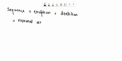 explain-how-the-sequence-of-eruption-of-the-permanent-dentition-plays-a-role-in-the-establishment-of-a-normal-occlusion-mentioning-the-importance-of-each-step-91995