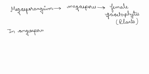 10_-where-in-an-angiosperm-would-you-find-a-megasporangium-a-in-the-style-of-a-flower-b-inside-the-tip-of-a-pollen-tubev-c-enclosed-in-the-stigma-of-a-flower-d-within-an-ovule-contained-with-27817