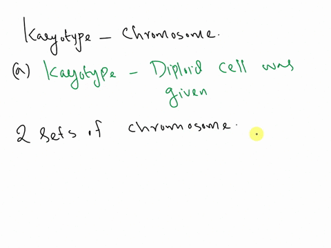 a-karyotype-is-the-number-and-visual-appearance-of-the-chromosomes-in-the-nucleus-of-an-organisms-cellthe-diagram-below-shows-a-human-karyotype-ixx-1-2-3-4-5-is-6-7-8-9-10-11-12-11-1-13-14-1-00338