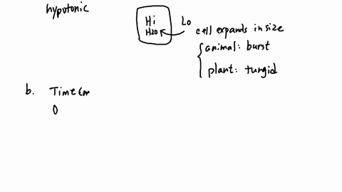 you-are-performing-an-experiment-to-determine-if-a-solution-is-hypertonic-hypotonic-or-isotonic-in-relation-t0-cells-placed-into-the-solution_-using-your-background-knowledge-and-research-on-02994
