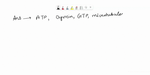 which-of-the-following-isare-required-in-order-for-an-endosome-to-be-transported-from-the-plasma-membrane-to-the-golgi-complex-select-all-that-apply-dynein-kinesin-atp-microtubules-actin-gtp-50216