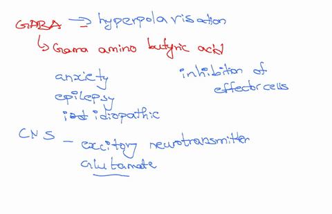walk-through-how-gaba-works-as-an-inhibitory-neurotransmitter-describe-how-the-knock-down-of-gaba-vigabatrin-will-lead-to-the-prevention-of-seizures-please-cover-the-enzymatic-inhibition-mec-14867
