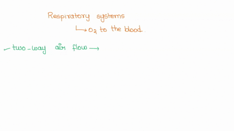 the-respiratory-systems-of-birds-are-very-efficient-at-providing-oxygen-to-the-blood-which-is-necessary-for-birds-to-expend-the-energy-necessary-to-fly-what-feature-of-the-bird-respiratory-s-99682
