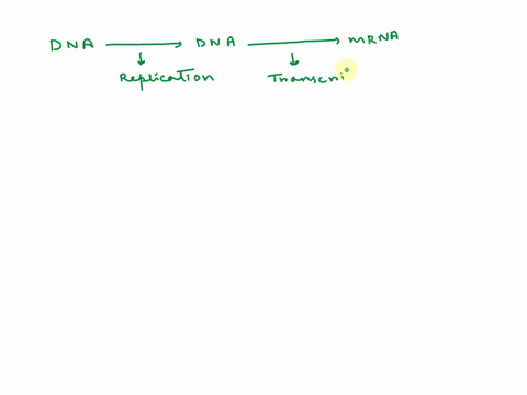 the-process-of-converting-the-genetic-message-from-dna-into-__________-is-called-transcription-95347
