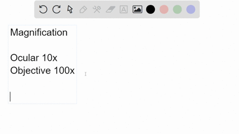 if-the-ocular-is-10x-and-the-low-power-objective-is-100x-what-is-the-total-magnification-98804