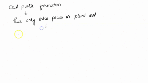 cell-plate-formation-usually-begins-during-a-telophase-in-a-plant-cell-b-telophase-in-an-animal-cell-07068