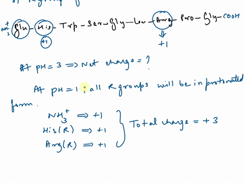 13net-electric-charge-of-peptides-a-peptide-has-the-sequence-glu-his-trp-ser-gly-leu-arg-pro-gly-acalculate-the-net-charge-of-the-molecule-at-ph-38and-11-incorporation-into-a-peptide-can-alt-96738