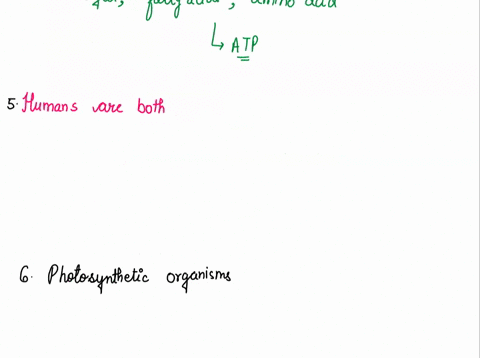 question-5-2-pts-humans-are-both-heterotrophs-and-consumers-heterotrophs-and-producers-autotrophs-and-producers-producers-and-decomposers-question-6-2-pts-photosynthetic-organisms-are-produc-60396