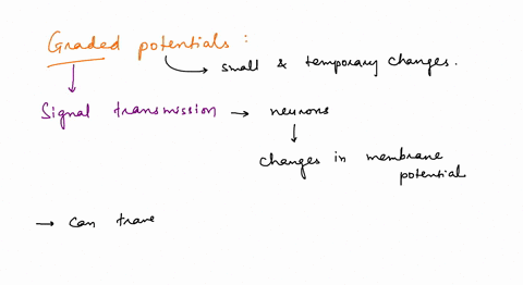 question-11-graded-potentials-are-often-all-or-none-always-cause-repolarization-may-be-either-a-depolarization-or-a-hyperpolarization-produce-a-effect-that-spreads-actively-across-the-membra-50245