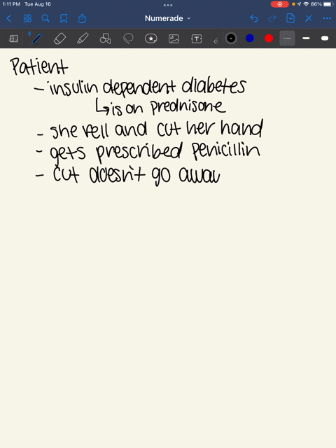 in-mid-december-a-woman-with-insulin-dependent-diabetes-who-had-been-on-prednisone-fell-and-received-an-abrasion-on-the-dorsal-side-of-her-right-hand-she-was-placed-on-penicillin-by-the-end-71887