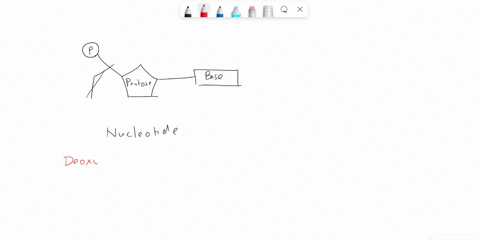 identify-this-molecule-what-is-it-the-monomer-of-this-is-an-amino-acid-and-it-is-the-monomer-of-a-protein-this-is-a-nucleotide-and-it-is-the-monomer-of-dna-this-is-a-nucleotide-and-it-is-the-48607
