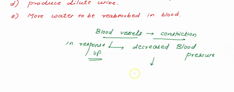 question-32-what-is-the-function-of-antidiuretic-hormone-adh-adh-controls-the-rate-that-filtrate-moves-from-the-glomerulus-into-bowmans-capsule-high-levels-of-adh-prevent-the-insertion-of-aq-41896