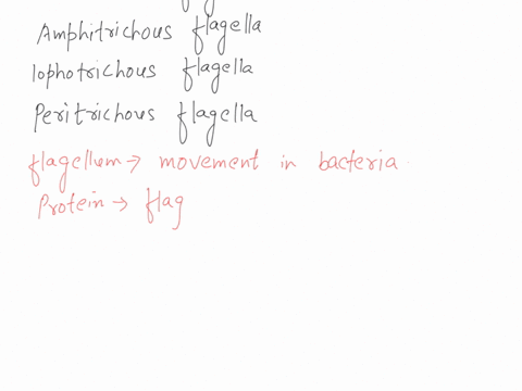 question-2-describe-the-flagellar-arrangement-when-flagella-are-distributed-around-the-entire-bacterial-cell-monotrichous-amphitrichous-lophotrichous-peritrichous-99189