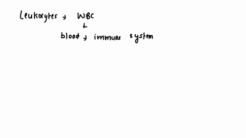 which-of-the-following-is-not-a-formed-element-of-blood-a-leukocyte-quad-c-fibrinogen-b-eosinophil-q-18076