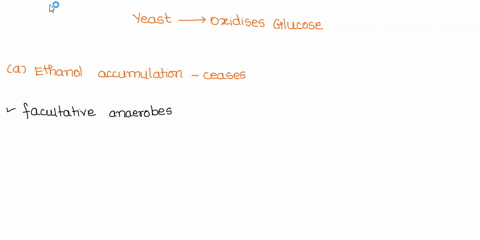 numerous-metabolic-pathways-have-been-characterized-using-yeast-a-single-celled-eukaryote-under-aerobic-conditions-yeast-cells-completely-oxidize-glucose-to-coz-and-ho-via-glycolysis-the-tca-19504