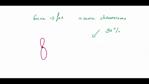 genes-that-are-far-apart-on-the-same-chromosome-can-have-a-recombination-frequency-near-50-but-never-over-that-why-is-this-why-cant-we-see-more-than-50-recombinant-gametes-19076